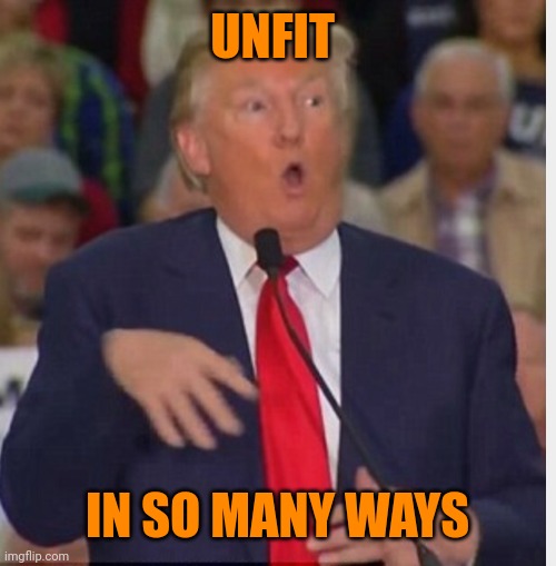 Hero to some, sad | UNFIT; IN SO MANY WAYS | image tagged in donald trump tho | made w/ Imgflip meme maker