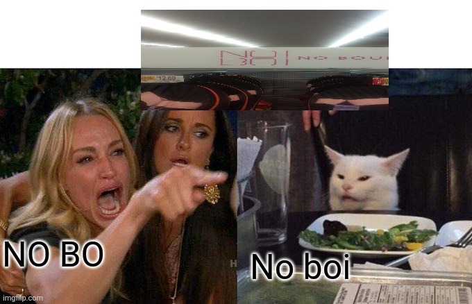 Woman Yelling At Cat | NO BO; No boi | image tagged in memes,woman yelling at cat | made w/ Imgflip meme maker