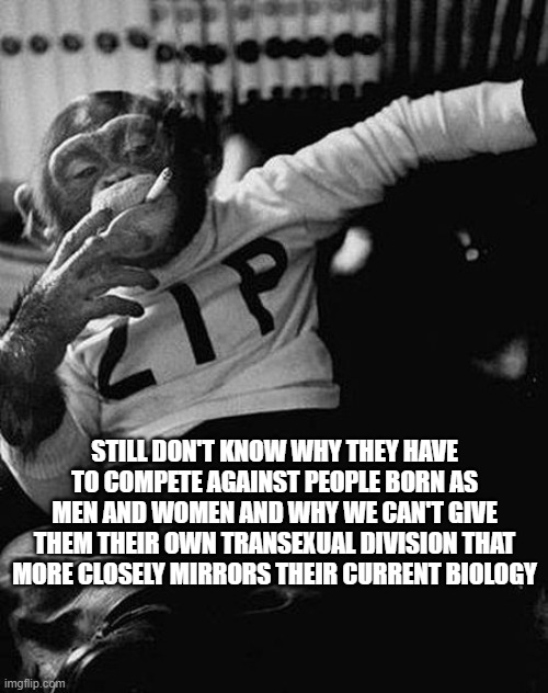 Zip the Smoking Chimp | STILL DON'T KNOW WHY THEY HAVE TO COMPETE AGAINST PEOPLE BORN AS MEN AND WOMEN AND WHY WE CAN'T GIVE THEM THEIR OWN TRANSEXUAL DIVISION THAT | image tagged in zip the smoking chimp | made w/ Imgflip meme maker
