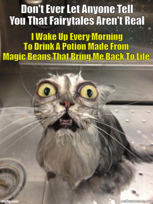 Magic Beans | Don't Ever Let Anyone Tell You That Fairytales Aren't Real; I Wake Up Every Morning To Drink A Potion Made From Magic Beans That Bring Me Back To Life | image tagged in coffee,beans,wake up | made w/ Imgflip meme maker