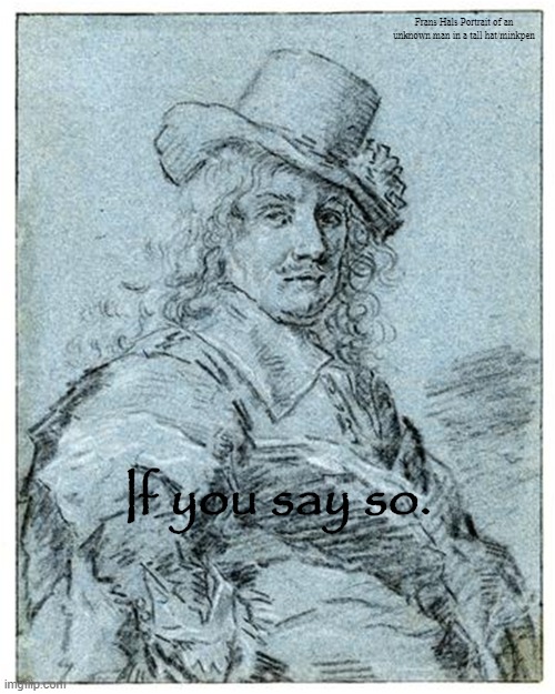 If You Say So | Frans Hals Portrait of an unknown man in a tall hat/minkpen; If you say so. | image tagged in art memes,dutch,painting,golden age,oh really,drawing | made w/ Imgflip meme maker
