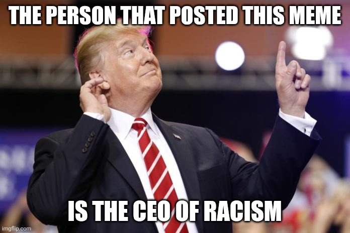 This person above me is crazy | THE PERSON THAT POSTED THIS MEME IS THE CEO OF RACISM | image tagged in this person above me is crazy | made w/ Imgflip meme maker