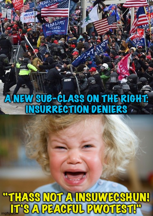 Insurrection Deniers | A NEW SUB-CLASS ON THE RIGHT:
INSURRECTION DENIERS; "THASS NOT A INSUWECSHUN!
IT'S A PEACFUL PWOTEST!" | image tagged in cop-killer maga right wing capitol riot january 6th,crying child | made w/ Imgflip meme maker