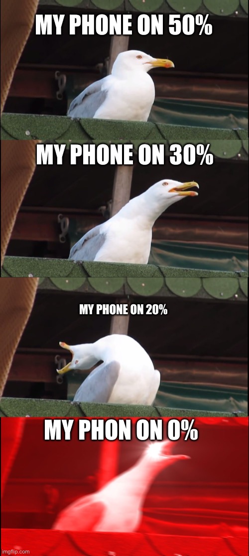 It’s not gaming I know | MY PHONE ON 50%; MY PHONE ON 30%; MY PHONE ON 20%; MY PHON ON 0% | image tagged in memes,inhaling seagull | made w/ Imgflip meme maker