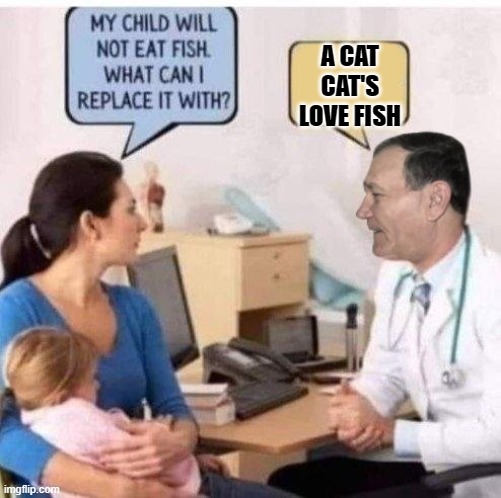 A CAT CAT'S LOVE FISH | made w/ Imgflip meme maker