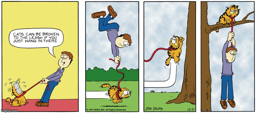 Hang in there | image tagged in garfield,comics,comic,comics/cartoons,leash,hang in there | made w/ Imgflip meme maker