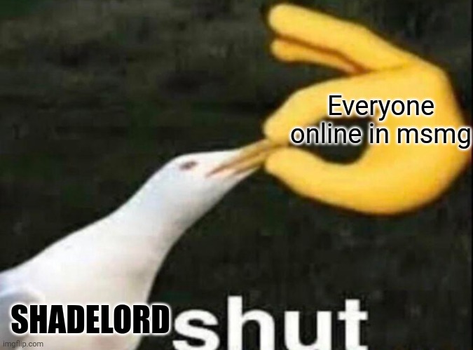 SHUT | Everyone online in msmg; SHADELORD | image tagged in shut | made w/ Imgflip meme maker