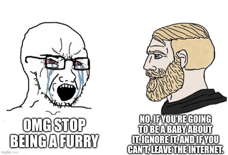 cry about it youre the only fatherless people here | OMG STOP BEING A FURRY | image tagged in cry about it snowflakes | made w/ Imgflip meme maker