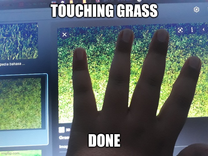 Pov : you touching some grass on your monitor | TOUCHING GRASS; DONE | image tagged in memes,touching,some,grass,on,monitor | made w/ Imgflip meme maker