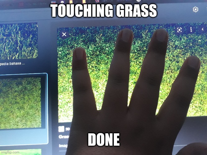 How to touch grass - Imgflip