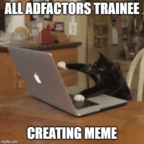 ALL ADFACTORS TRAINEE; CREATING MEME | image tagged in lol so funny | made w/ Imgflip meme maker