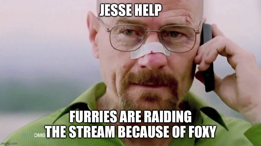 Breaking bad I won | JESSE HELP; FURRIES ARE RAIDING THE STREAM BECAUSE OF FOXY | image tagged in breaking bad i won | made w/ Imgflip meme maker