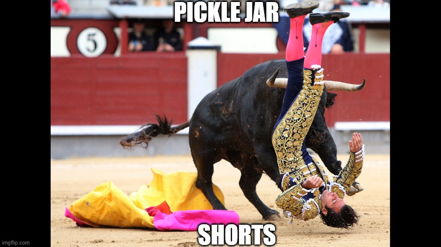 bulls | PICKLE JAR; SHORTS | image tagged in bull | made w/ Imgflip meme maker