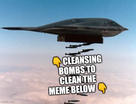 stealth bomber | 👇CLEANSING BOMBS TO CLEAN THE MEME BELOW 👇 | image tagged in stealth bomber | made w/ Imgflip meme maker