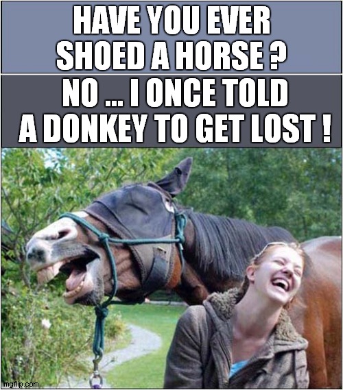 Horsie Humour ! | HAVE YOU EVER SHOED A HORSE ? NO ... I ONCE TOLD A DONKEY TO GET LOST ! | image tagged in fun,horse,donkey,humour | made w/ Imgflip meme maker