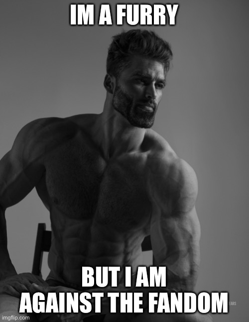 Giga Chad | IM A FURRY; BUT I AM AGAINST THE FANDOM | image tagged in giga chad | made w/ Imgflip meme maker