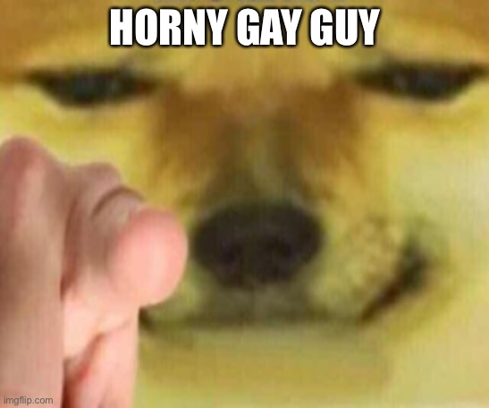 Cheems Pointing At You | HORNY GAY GUY | image tagged in cheems pointing at you | made w/ Imgflip meme maker