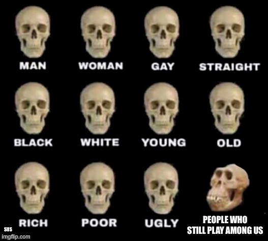 Oof | PEOPLE WHO STILL PLAY AMONG US; SUS | image tagged in idiot skull | made w/ Imgflip meme maker