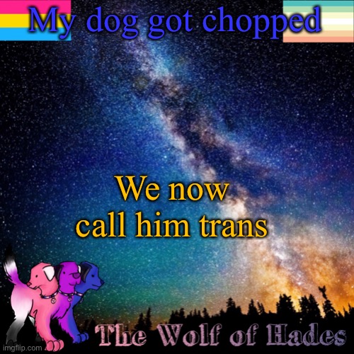 Hehe | My dog got chopped; We now call him trans | image tagged in thewolfofhades announcement templete | made w/ Imgflip meme maker