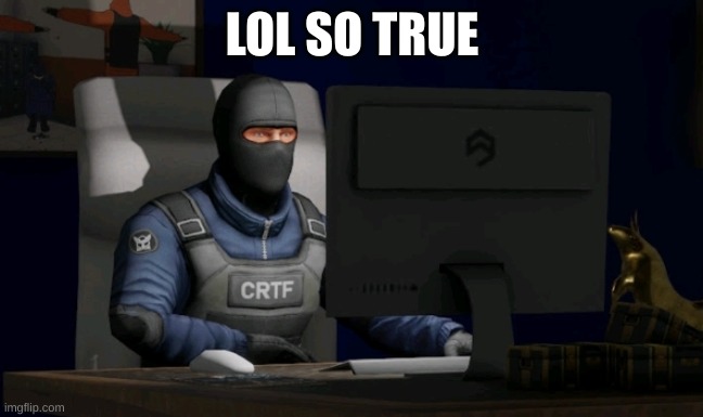 counter-terrorist looking at the computer | LOL SO TRUE | image tagged in counter-terrorist looking at the computer | made w/ Imgflip meme maker