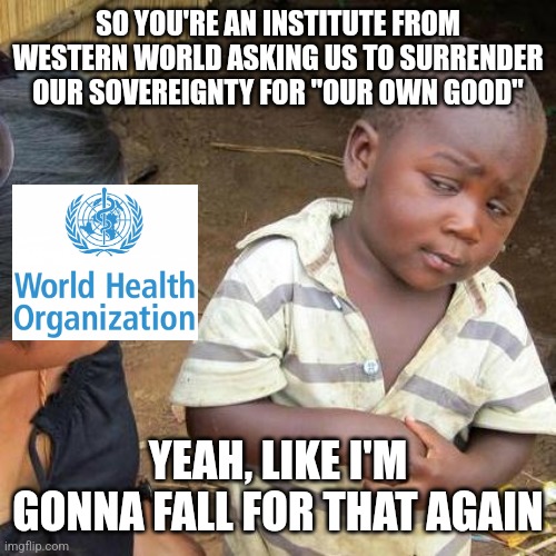 Africa doesn't trust the World Health Organization and for a very good reason | SO YOU'RE AN INSTITUTE FROM WESTERN WORLD ASKING US TO SURRENDER OUR SOVEREIGNTY FOR "OUR OWN GOOD"; YEAH, LIKE I'M GONNA FALL FOR THAT AGAIN | image tagged in memes,third world skeptical kid,africa,tyranny,western imperialism | made w/ Imgflip meme maker