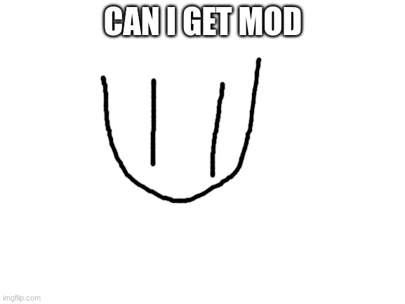 plz | CAN I GET MOD | image tagged in blank white template,memes,funny,lol | made w/ Imgflip meme maker