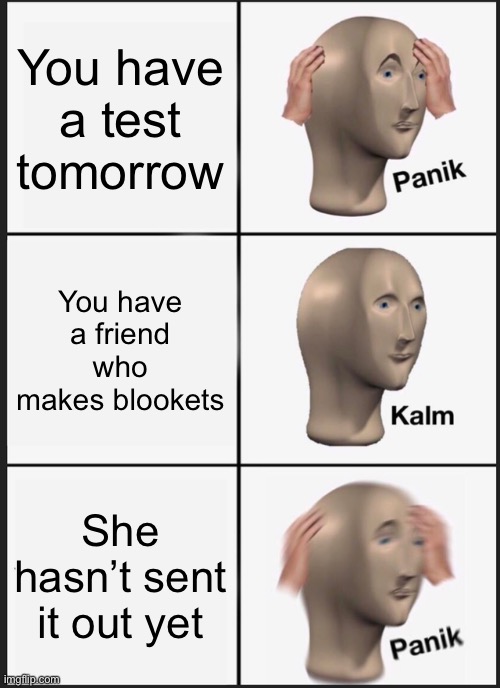 Panik Kalm Panik | You have a test tomorrow; You have a friend who makes blookets; She hasn’t sent it out yet | image tagged in memes,panik kalm panik | made w/ Imgflip meme maker