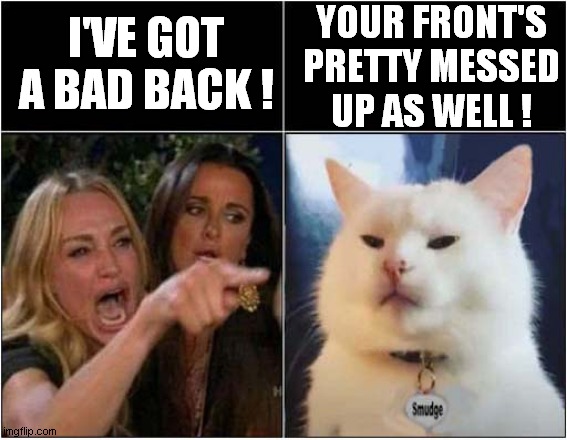 Smudge Tells It How It is ! | YOUR FRONT'S PRETTY MESSED UP AS WELL ! I'VE GOT A BAD BACK ! | image tagged in woman yelling at cat,smudge the cat,insults | made w/ Imgflip meme maker
