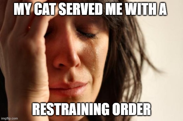 First World Problems | MY CAT SERVED ME WITH A; RESTRAINING ORDER | image tagged in memes,first world problems | made w/ Imgflip meme maker