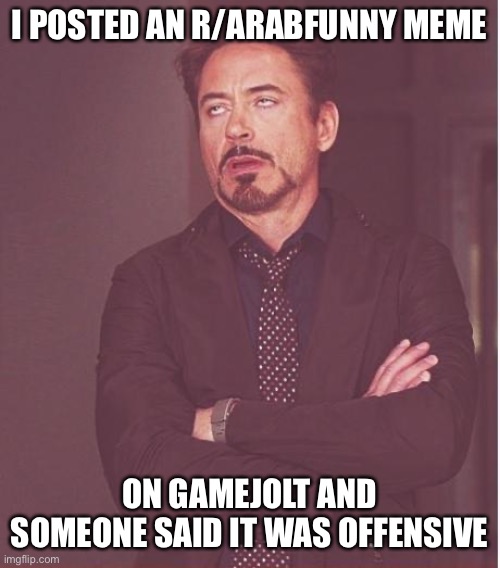 Face You Make Robert Downey Jr Meme | I POSTED AN R/ARABFUNNY MEME; ON GAMEJOLT AND SOMEONE SAID IT WAS OFFENSIVE | image tagged in memes,face you make robert downey jr | made w/ Imgflip meme maker