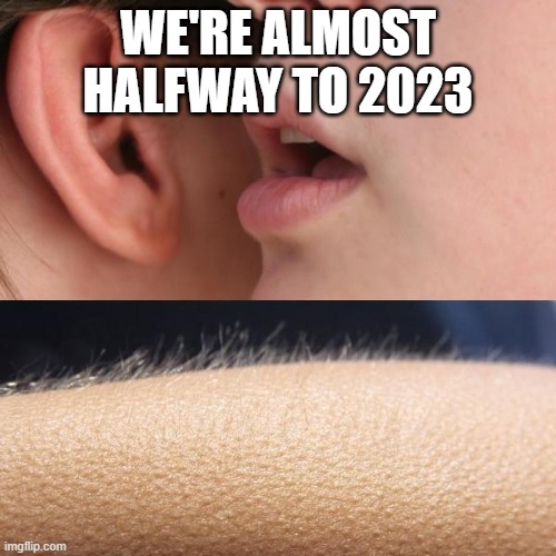 '-' | WE'RE ALMOST HALFWAY TO 2023 | image tagged in whisper and goosebumps,funny,memes,2022,2023 | made w/ Imgflip meme maker