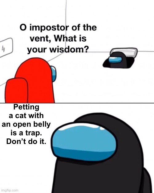 O impostor of the vent, what is your wisdom? | Petting a cat with an open belly is a trap. Don’t do it. | image tagged in o impostor of the vent what is your wisdom | made w/ Imgflip meme maker
