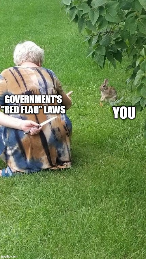 Red flag laws | GOVERNMENT'S "RED FLAG" LAWS; YOU | image tagged in old woman knife,red flag laws,gun control | made w/ Imgflip meme maker