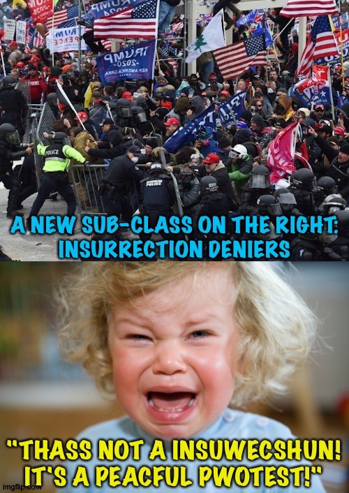 Those kids are just plain petulant! | image tagged in capitol riot,petulant child | made w/ Imgflip meme maker