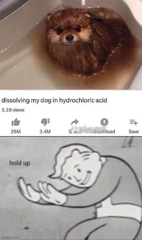 Poor dog | image tagged in fallout hold up | made w/ Imgflip meme maker