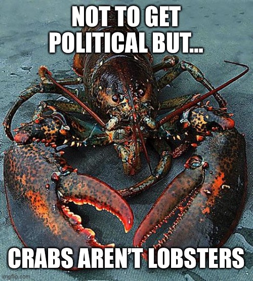 sorry | NOT TO GET POLITICAL BUT…; CRABS AREN’T LOBSTERS | image tagged in lobster | made w/ Imgflip meme maker