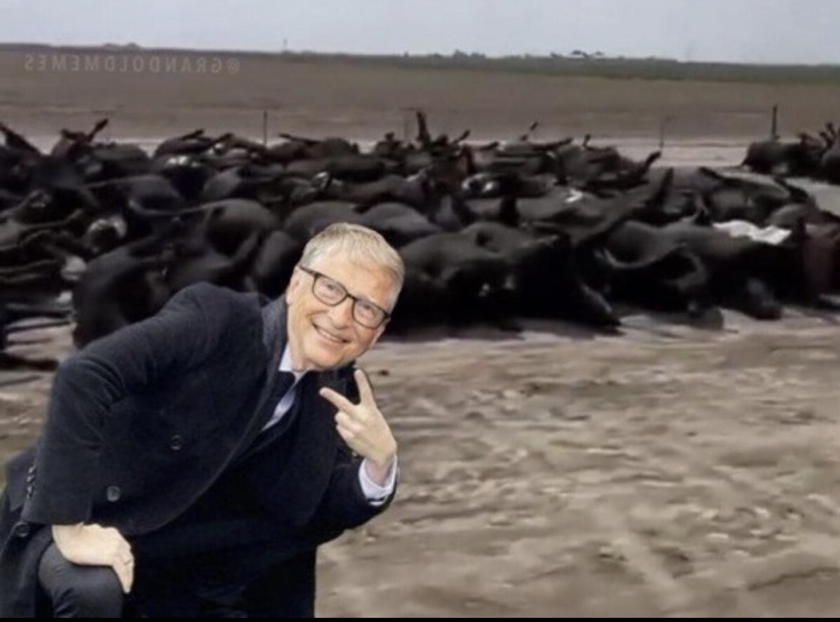 High Quality Bill Gates killing cows Blank Meme Template