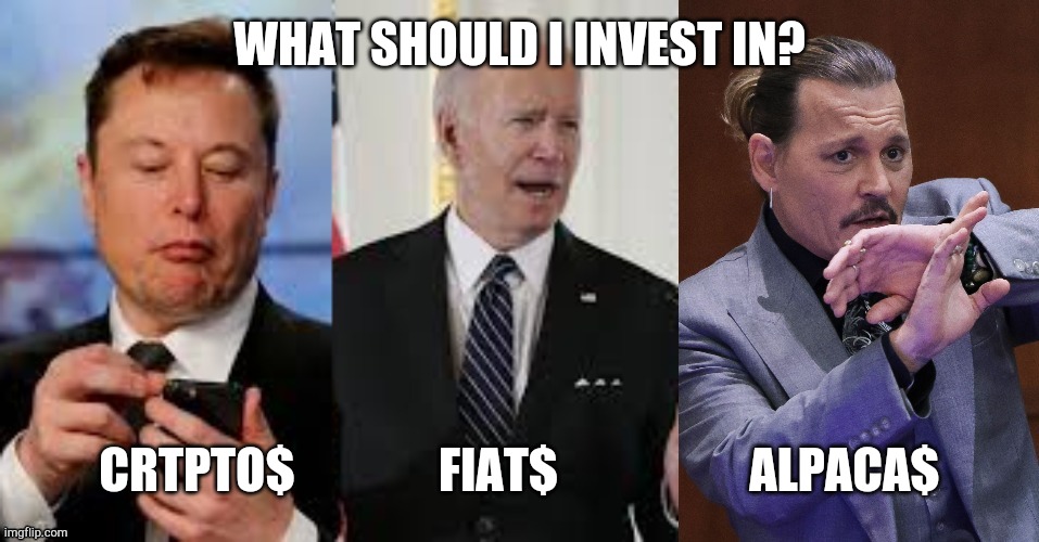 The Real Choice |  WHAT SHOULD I INVEST IN? CRTPTO$               FIAT$                    ALPACA$ | image tagged in funny memes,economics,celebrities | made w/ Imgflip meme maker
