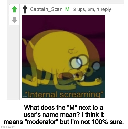 What does it mean? | What does the "M" next to a user's name mean? I think it means "moderator" but I'm not 100% sure. | image tagged in blank white template,moderators | made w/ Imgflip meme maker