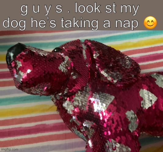 . | g u y s . look st my dog he’s taking a nap 😊 | made w/ Imgflip meme maker