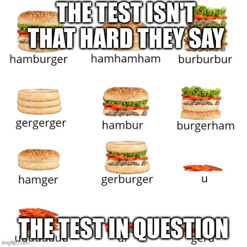 this meme | THE TEST ISN'T THAT HARD THEY SAY; THE TEST IN QUESTION | image tagged in hamburger grammar | made w/ Imgflip meme maker