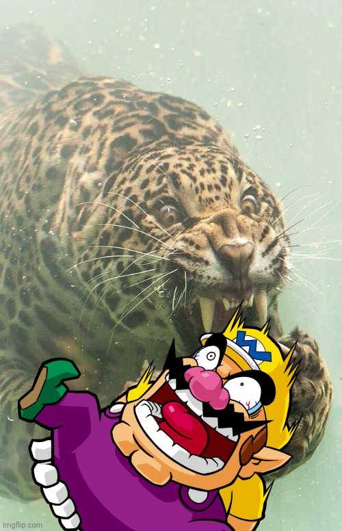 Wario dies by a Jaguar underwater.mp3 | image tagged in wario dies,wario,jaguar,cats,animals,underwater | made w/ Imgflip meme maker