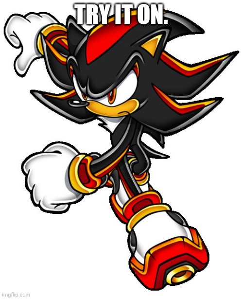 Shadow the hedgehog | TRY IT ON. | image tagged in shadow the hedgehog | made w/ Imgflip meme maker