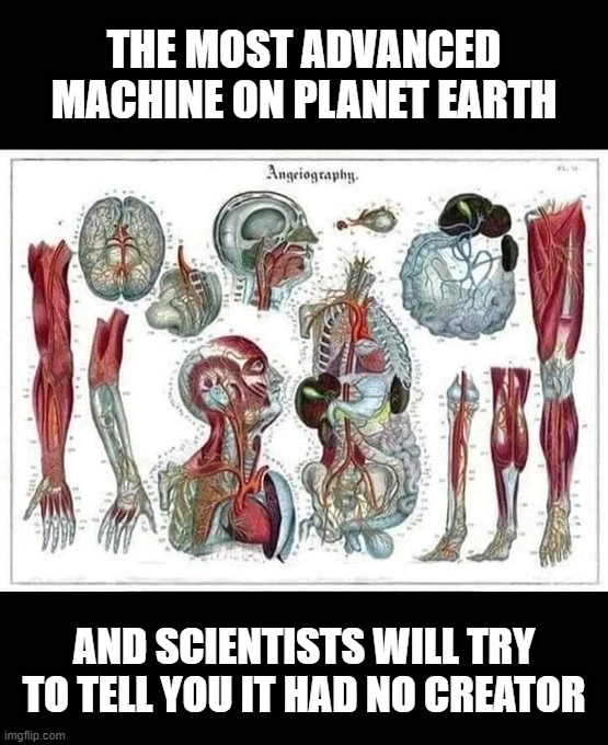 THE MOST ADVANCED
MACHINE ON PLANET EARTH; AND SCIENTISTS WILL TRY TO TELL YOU IT HAD NO CREATOR | image tagged in humans,the human body,god,religion,creator | made w/ Imgflip meme maker