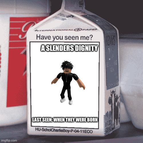 Missing Person | A SLENDERS DIGNITY; LAST SEEN: WHEN THEY WERE BORN | image tagged in missing person | made w/ Imgflip meme maker