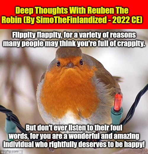 Deep Thoughts With Reuben The Robin (By SimoTheFinlandized - 2022 CE): | Deep Thoughts With Reuben The Robin (By SimoTheFinlandized - 2022 CE); Flippity flappity, for a variety of reasons many people may think you're full of crappity. But don't ever listen to their foul words, for you are a wonderful and amazing individual who rightfully deserves to be happy! | image tagged in memes,simothefinlandized,reuben the robin,comics/cartoons,wholesome | made w/ Imgflip meme maker