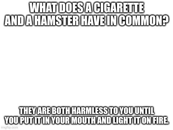 Blank White Template | WHAT DOES A CIGARETTE AND A HAMSTER HAVE IN COMMON? THEY ARE BOTH HARMLESS TO YOU UNTIL YOU PUT IT IN YOUR MOUTH AND LIGHT IT ON FIRE. | image tagged in dark humor | made w/ Imgflip meme maker