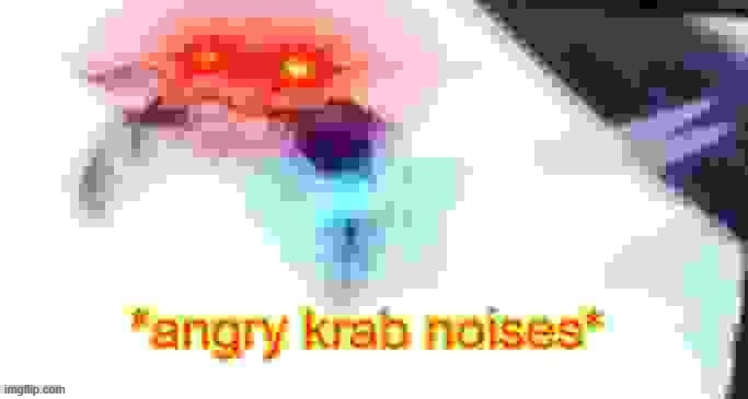 new template, your welcome | image tagged in angry krab | made w/ Imgflip meme maker