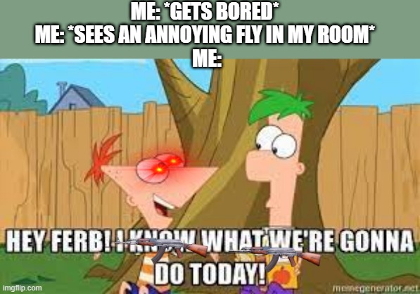 things to do in the summer time 101 | ME: *GETS BORED* 
ME: *SEES AN ANNOYING FLY IN MY ROOM* 
ME: | image tagged in hey ferb i know what we're gonna do today | made w/ Imgflip meme maker