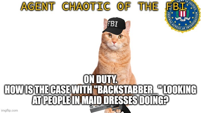 Chaotic Fbi | ON DUTY.
HOW IS THE CASE WITH "BACKSTABBER_" LOOKING AT PEOPLE IN MAID DRESSES DOING? | image tagged in chaotic fbi | made w/ Imgflip meme maker